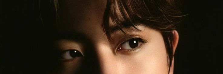 kimcalico13's profile banner image