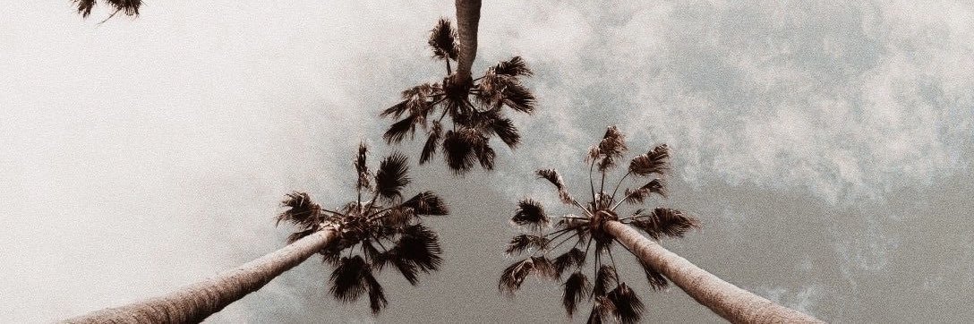 alyylambb's profile banner image