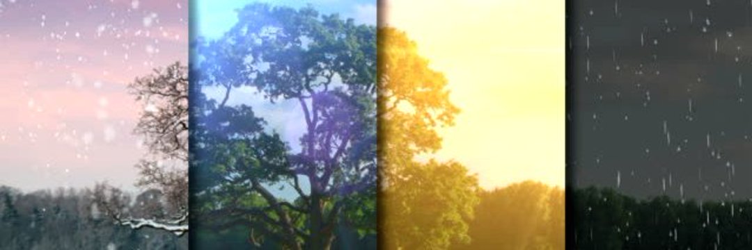 fatwiins's profile banner image