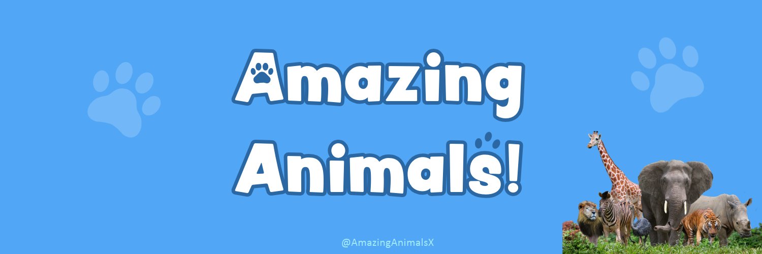 Amazing Animals! banner