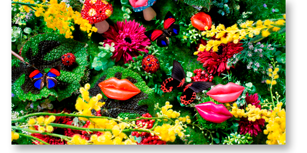 田代沙織 banner
