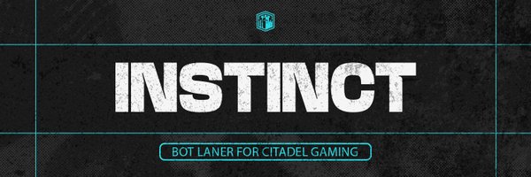 InstincttLoL Profile Banner