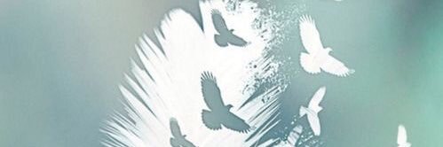 rh4yu's profile banner image