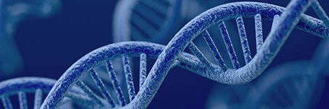 Douglas Levine MD banner