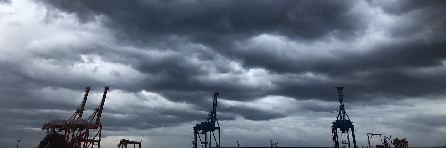 Barbara Šurk banner