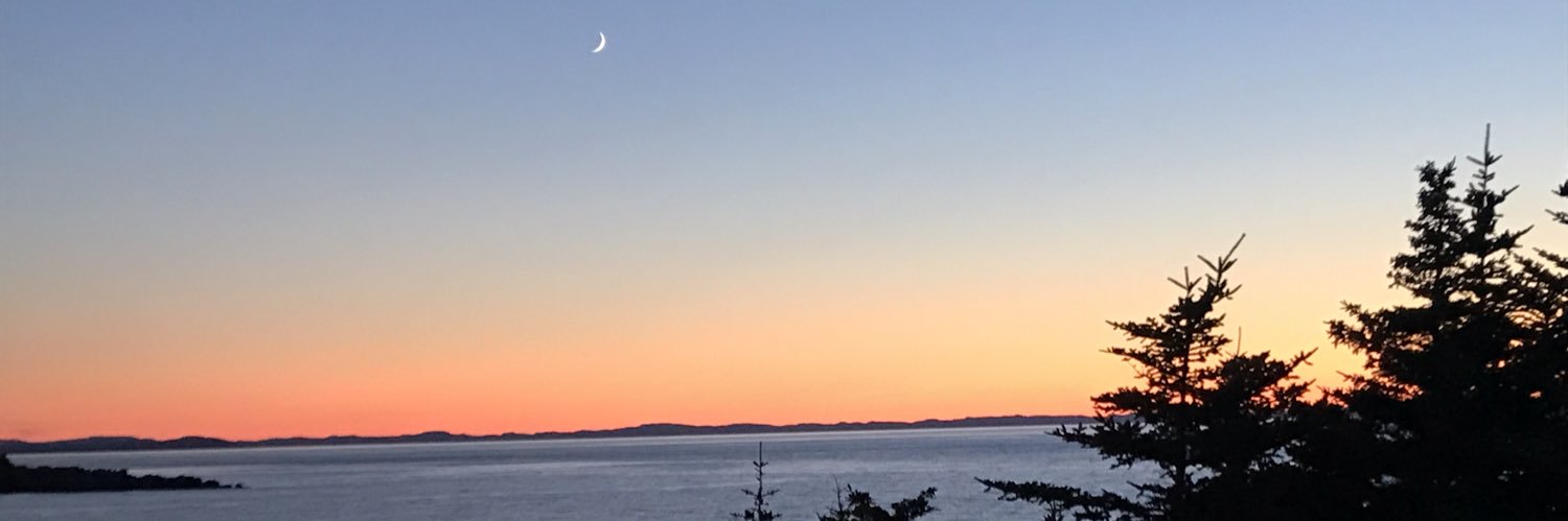 tracychis's profile banner image