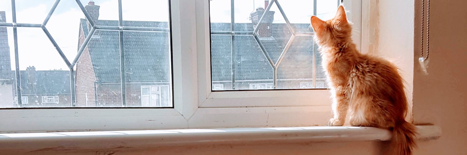 PhavineP's profile banner image