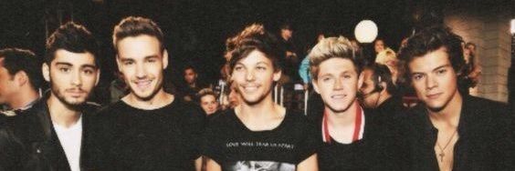 ∀ loves louis & harry ✨ banner
