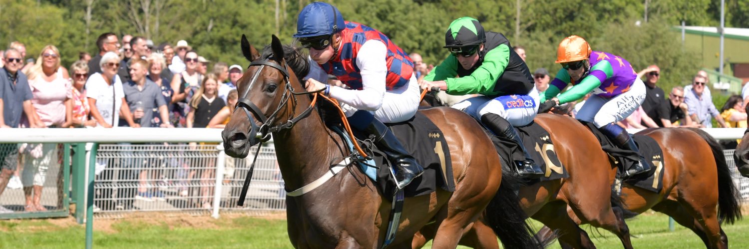 Robyn Brisland Racing banner