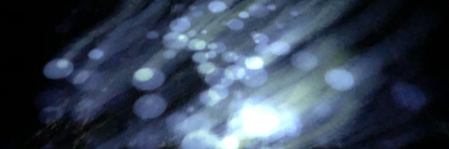 AriAri_Me's profile banner image