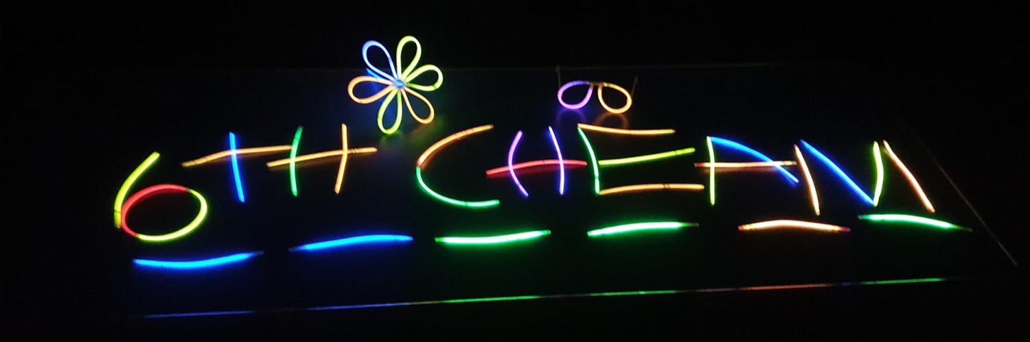 6th Cheam Guides banner