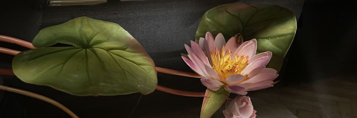 ｱﾚ乇刀ム banner