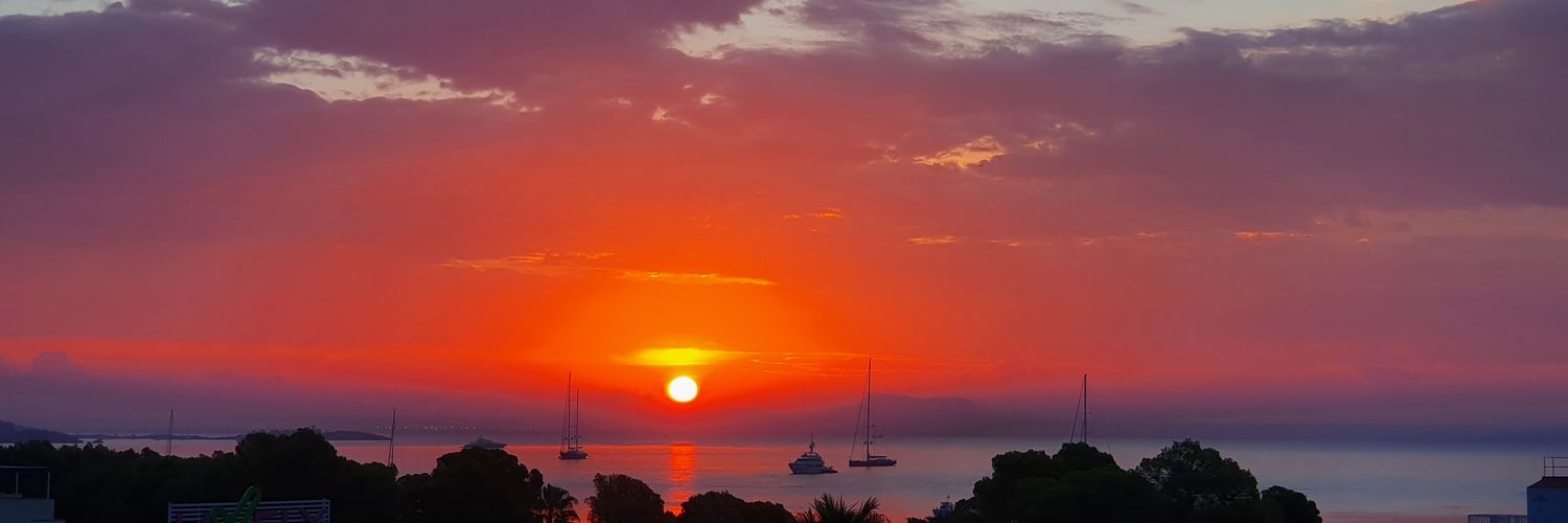 ncpweb's profile banner image