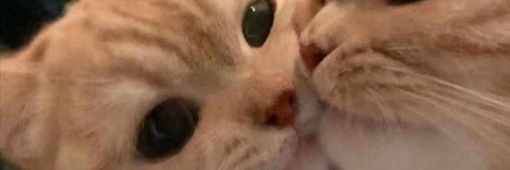 fondq's profile banner image