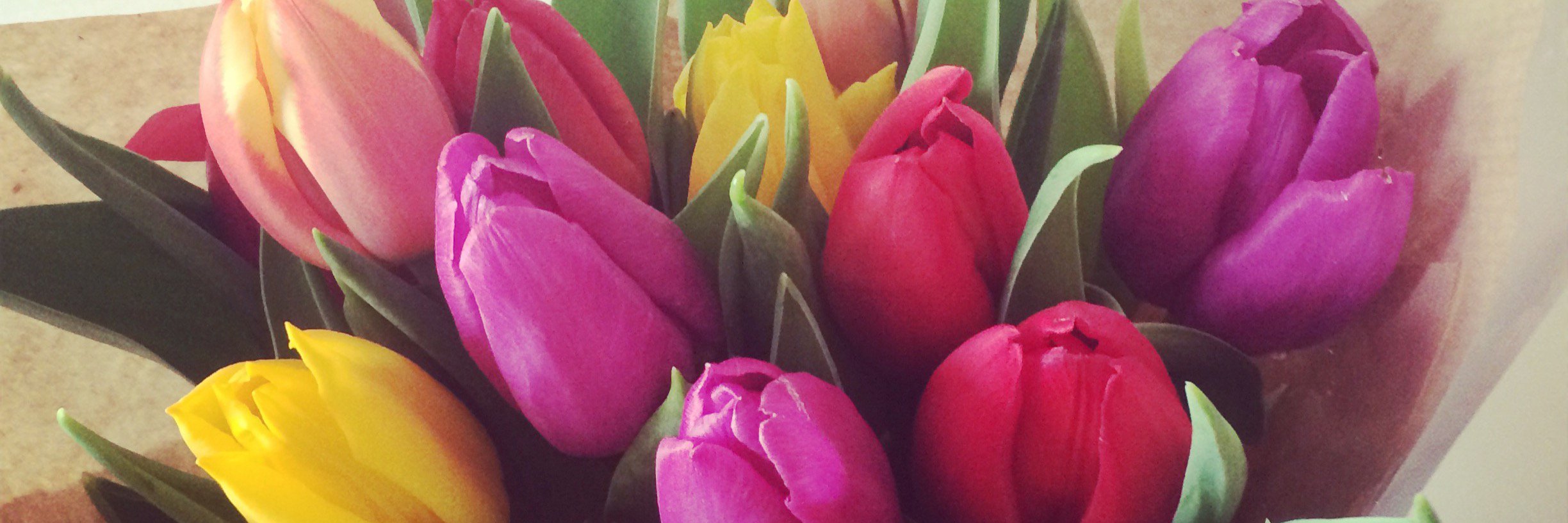 Ellen Wilkinson banner