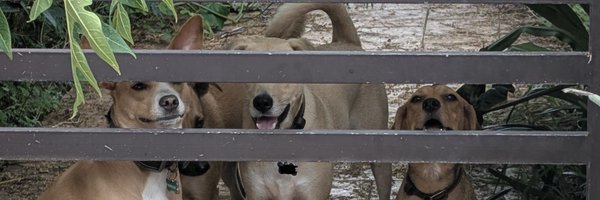 PMounou Profile Banner