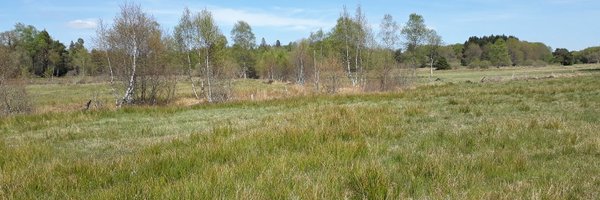 LeGalliard_Lab Profile Banner