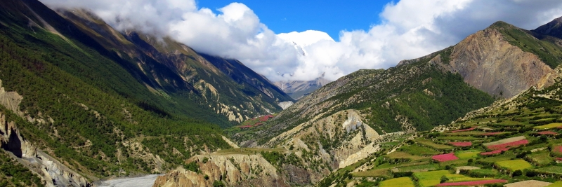 Population Ecology at IBOT banner