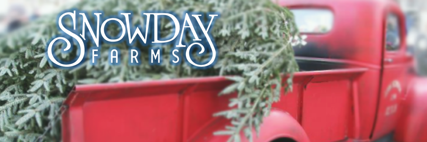 snowday's profile banner image