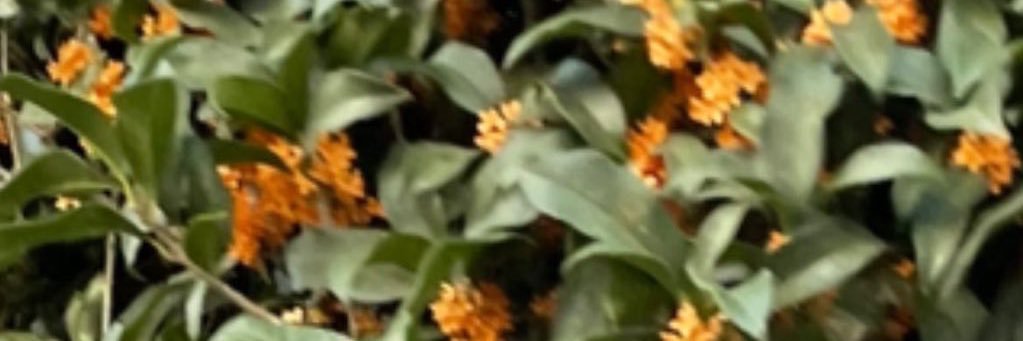 tkmk_s's profile banner image