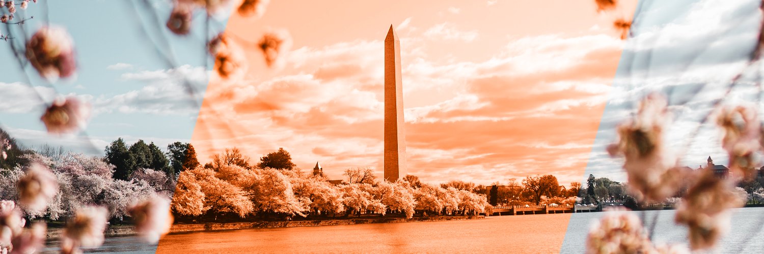 MBAServices's profile banner image