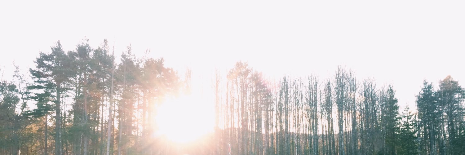 inlindad's profile banner image