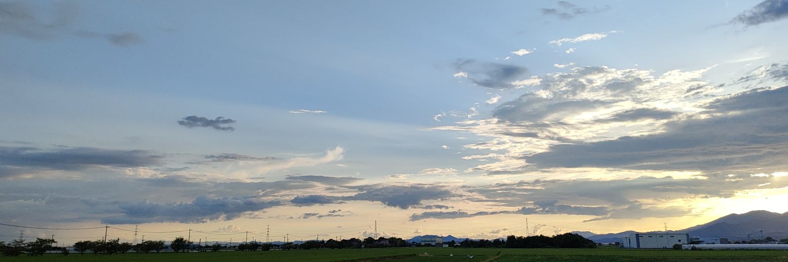 野川りく｜文フリ東京42 H-45 banner