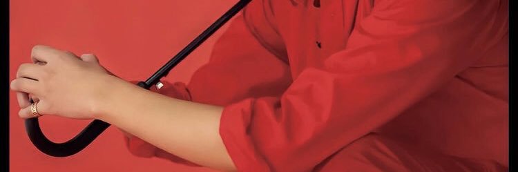 Lemon2525s's profile banner image