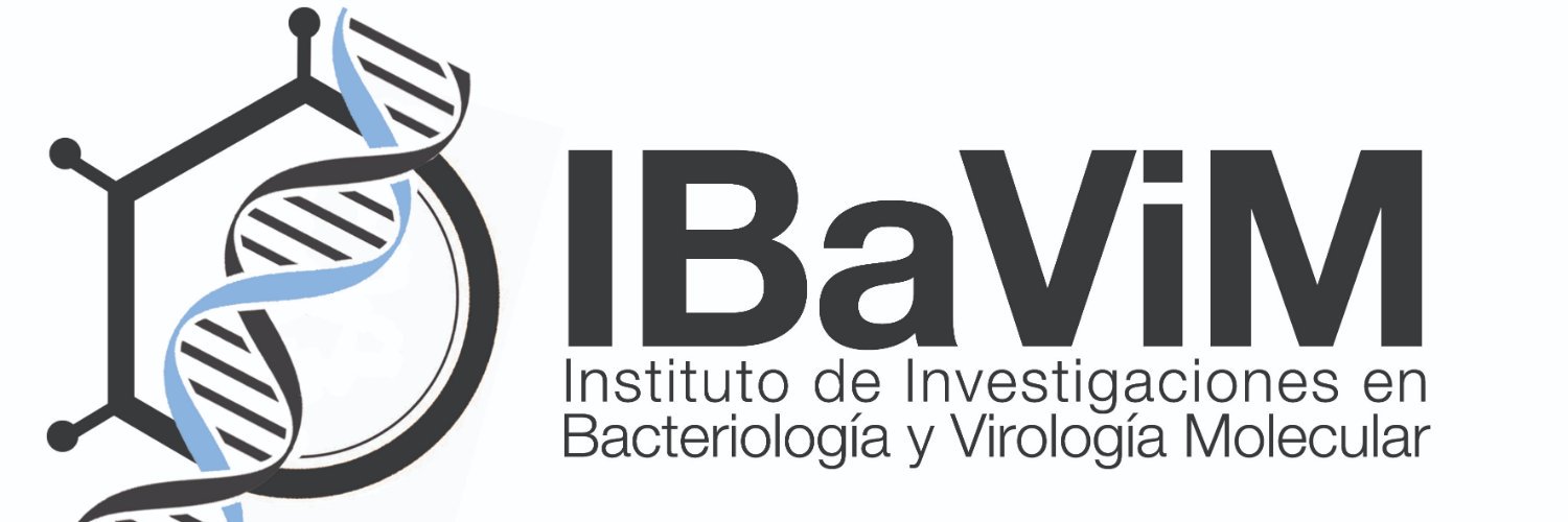 IBaViM banner