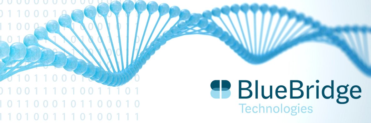 BlueBridge Tech Ltd banner