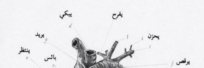 N banner