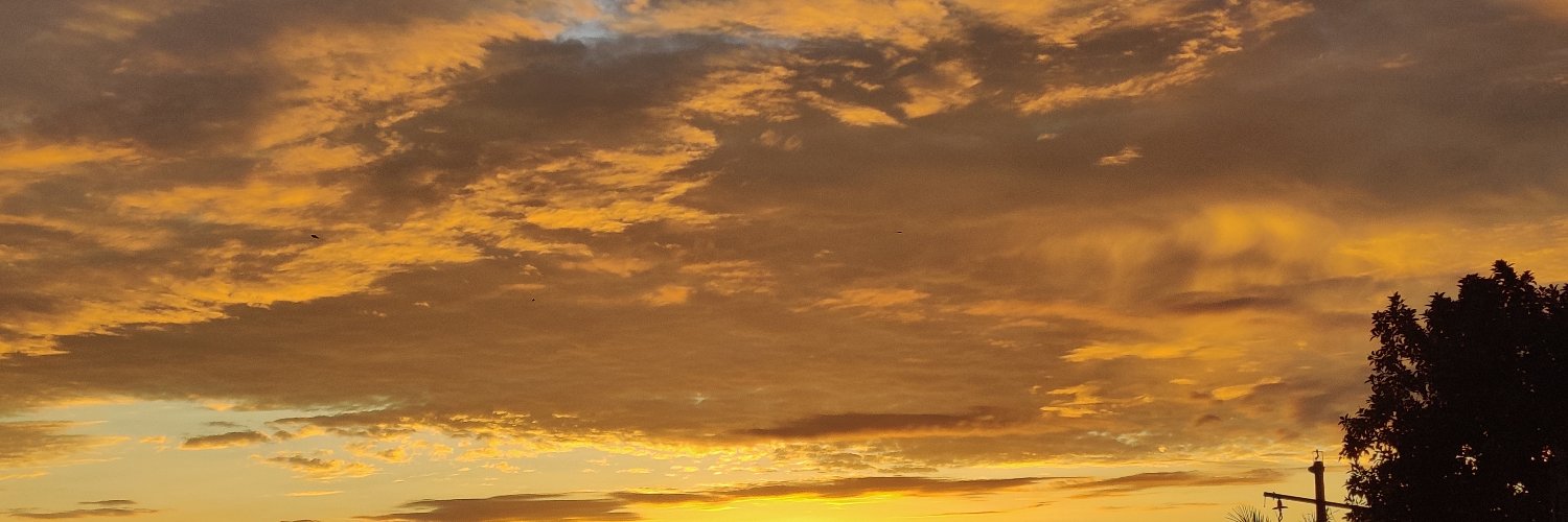 sekhon4's profile banner image