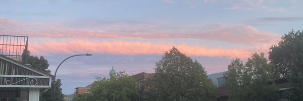 TemanSasha Profile Banner