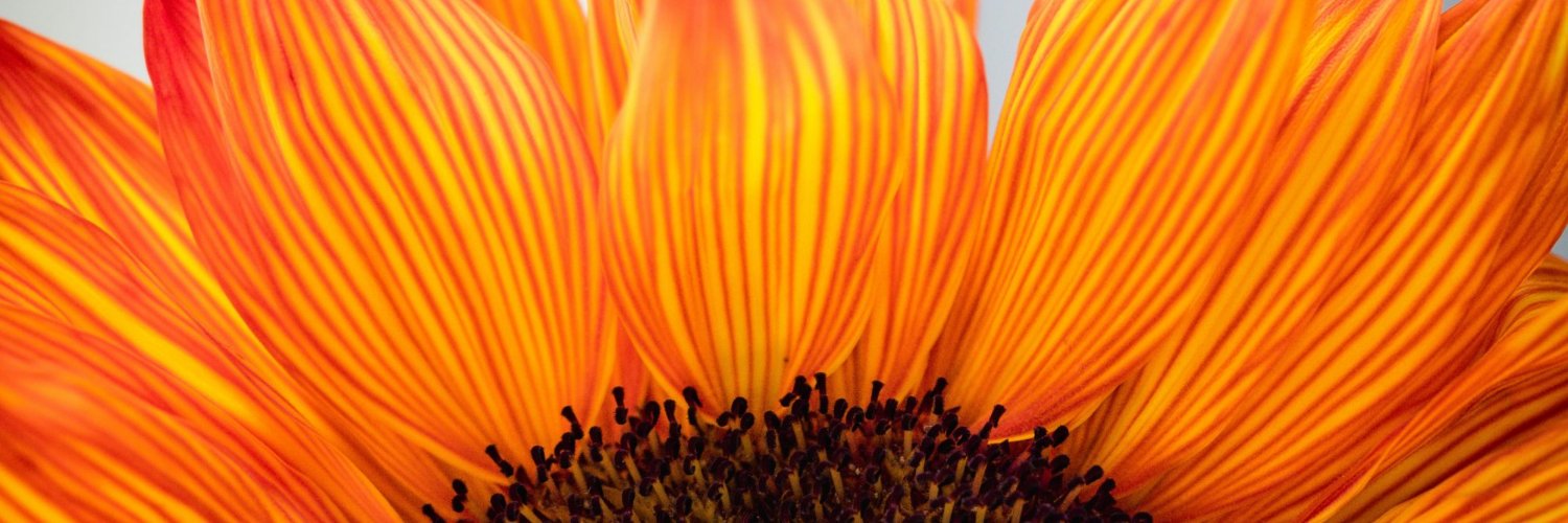 AFWhope's profile banner image