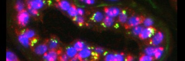 JessSFisher Profile Banner