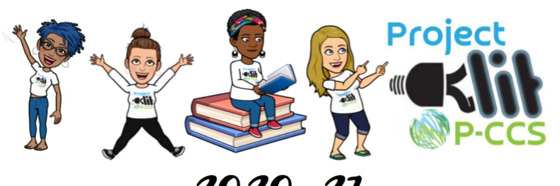 ProjectLITPCCS banner