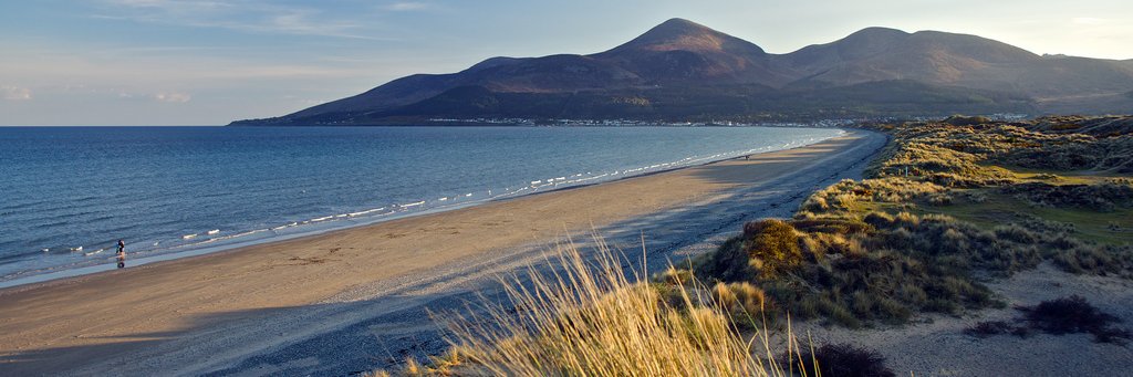 Isla Adele 🇺🇸 banner