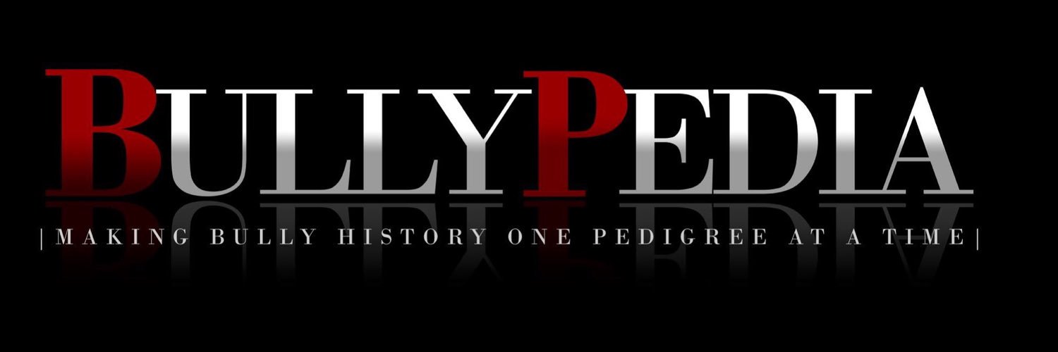 bullypedia's profile banner image