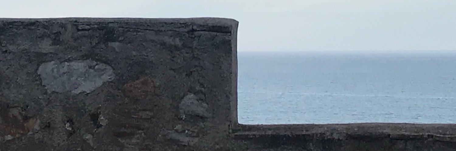 axularaluxa's profile banner image