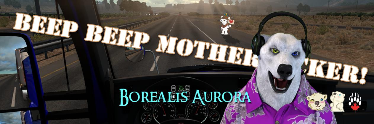 🇨🇦 Borealis Aurora 🇨🇦 🕹 banner
