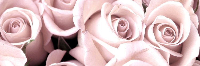 LoBeatty's profile banner image