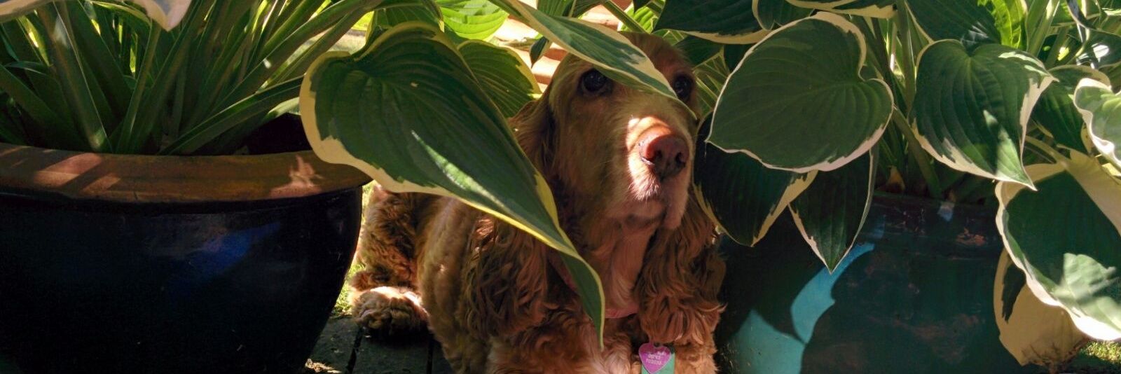 Sallylou68's profile banner image