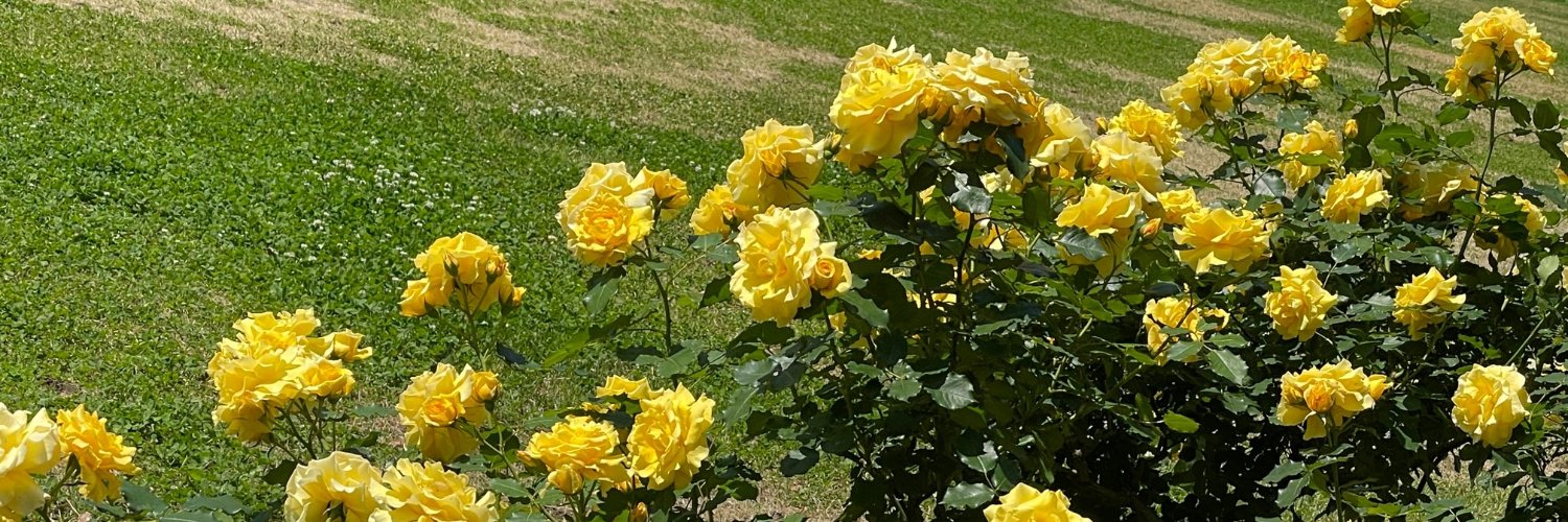 東京の緑と水さんぽ banner