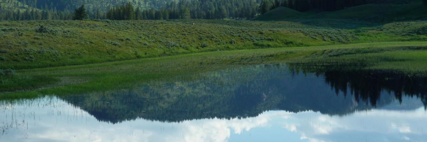 jknauer's profile banner image