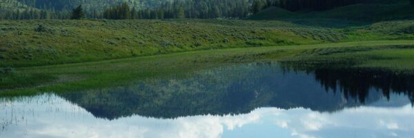 jknauer Profile Banner