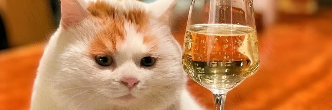 Gary69_96's profile banner image