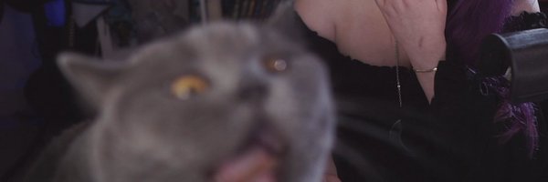 ImKatastrophe Profile Banner