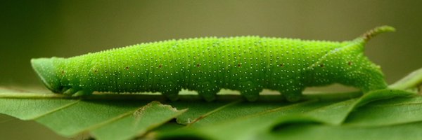 DeitschJohn Profile Banner