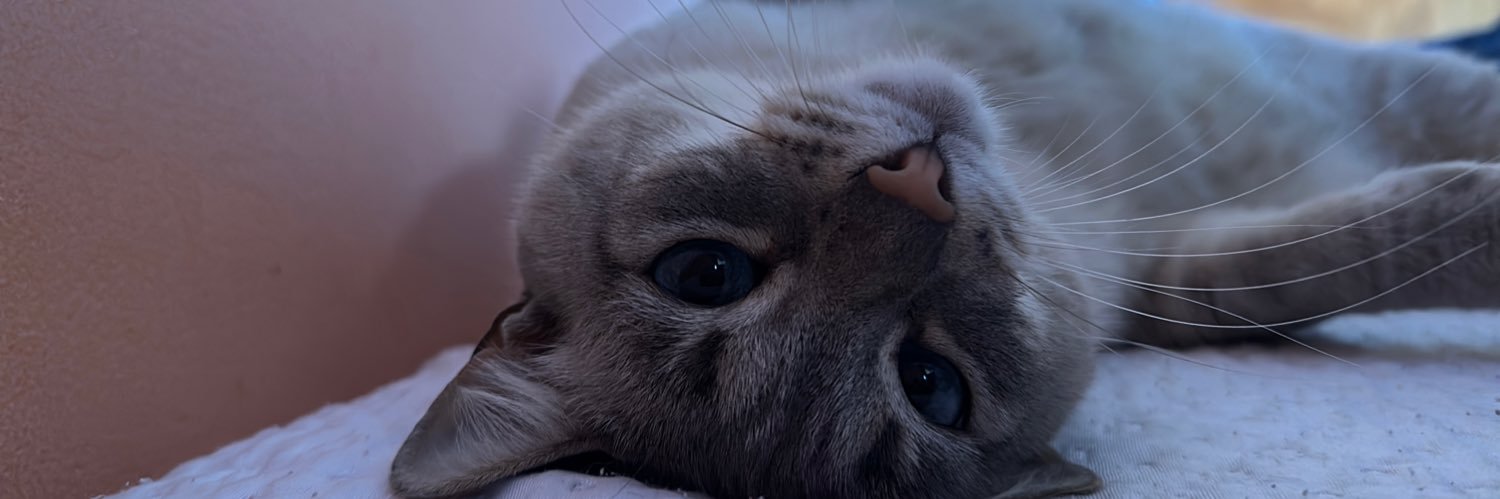 _Mariiaaaaaa_'s profile banner image