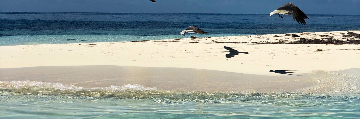 Janelle Belize banner